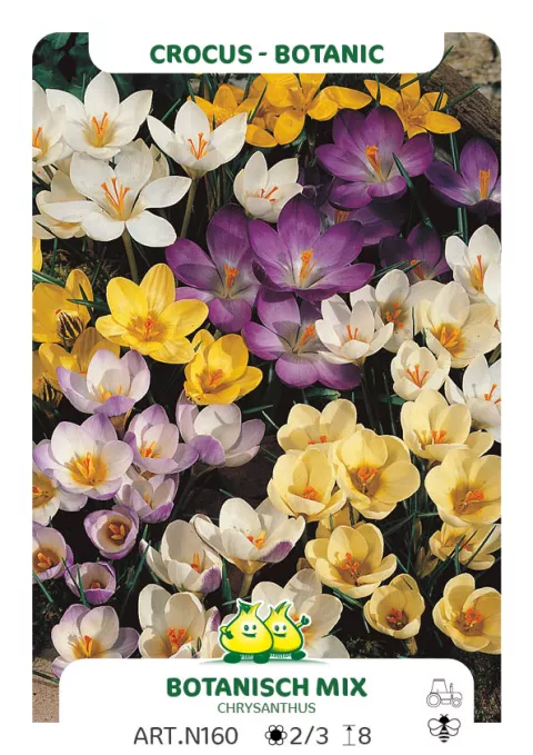 Crocus bot. 'Mix'
