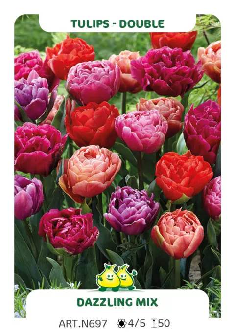 Tulipa dubbel 'Dazzling Mix'